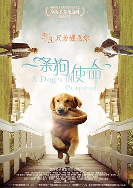 亚洲人一区
